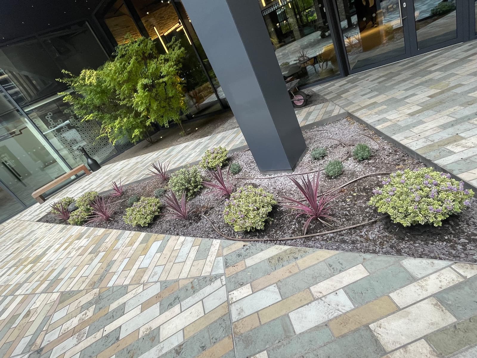 Landscaped entrance planting bed with ornamental grasses outside a modern building