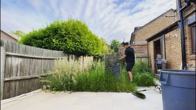 A worker in dark clothing clearing overgrown weeds into a bin along a wooden garden fence
