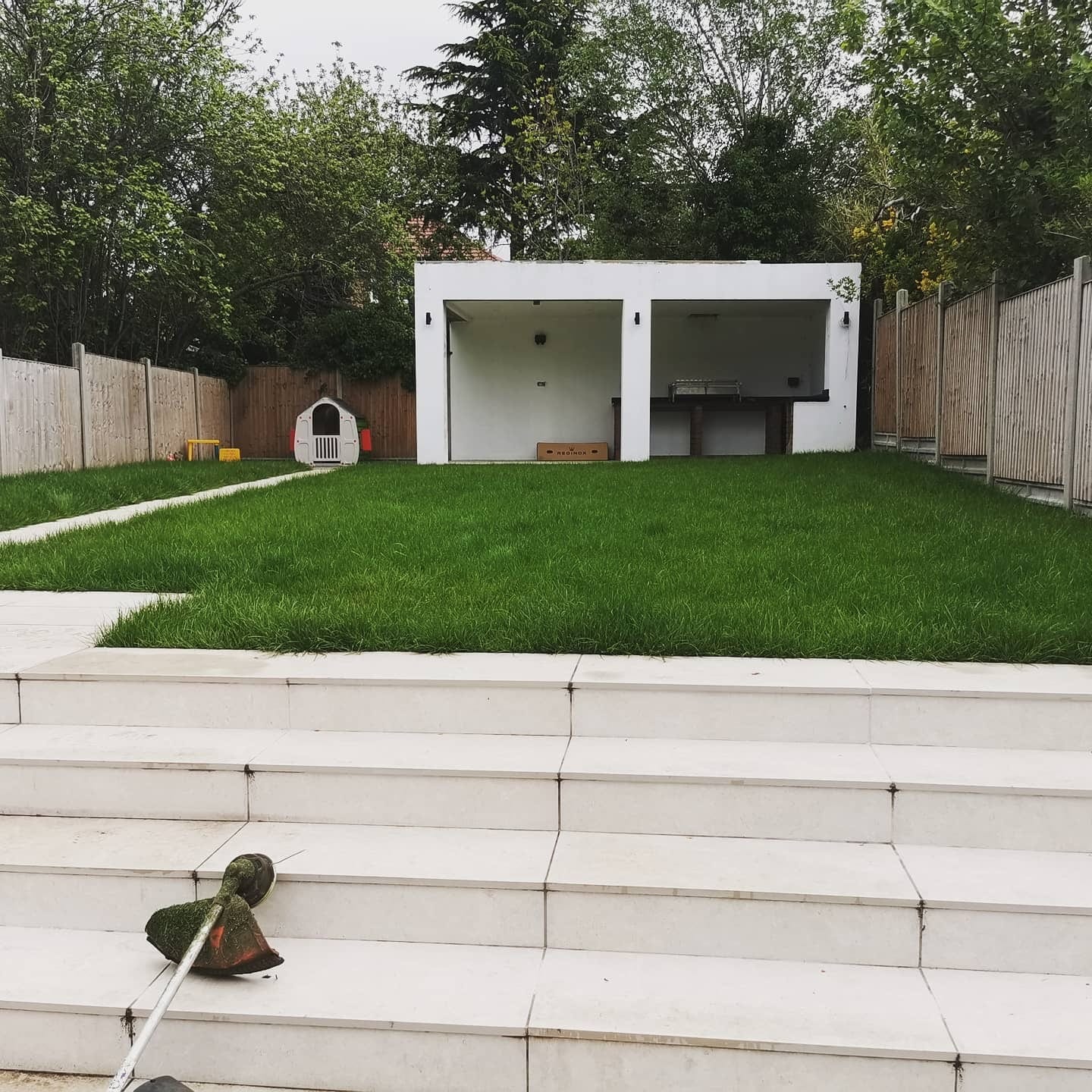 Overgrown lawn before mowing, strimmer left on the steps