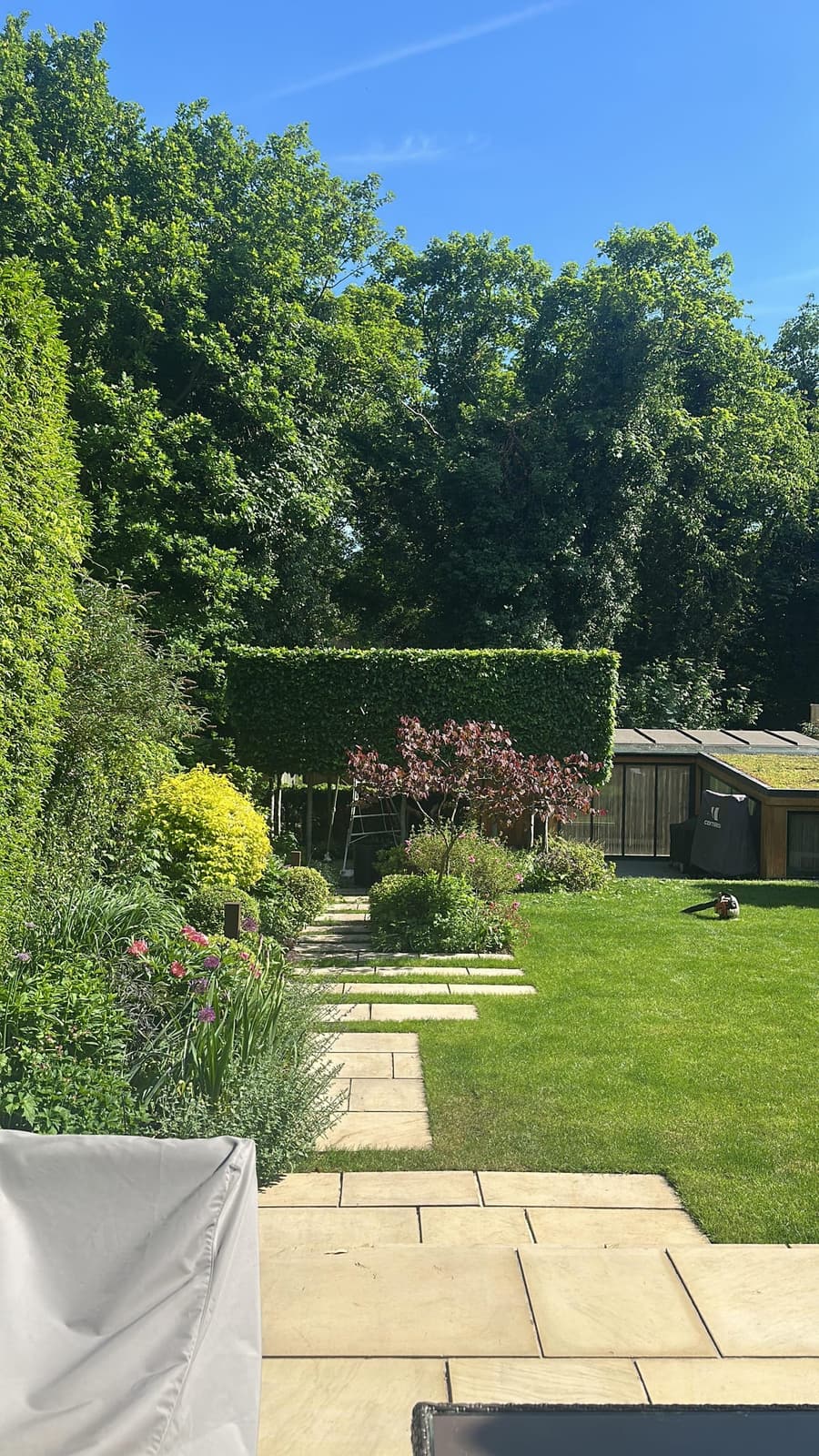 Trimmed hedge and stone paving path leading across a lawn in a landscaped garden