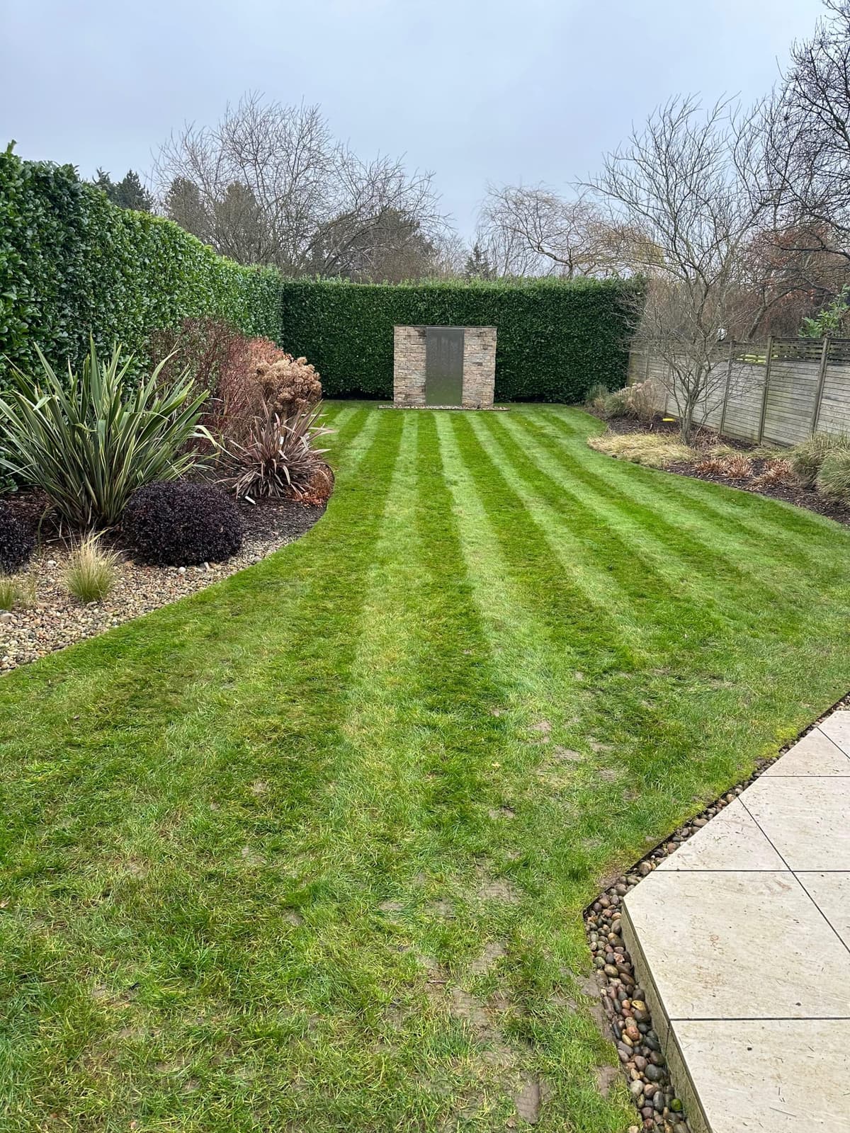Winter garden with a striped lawn, clipped hedge archway and evergreen planting