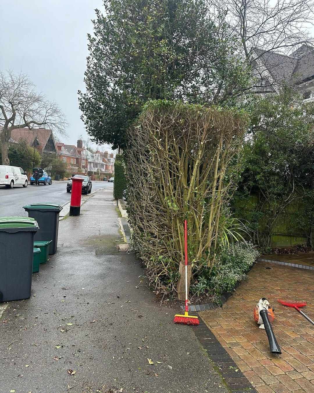 A trimmed evergreen hedge on a residential street corner, with a broom, leaf blower and rake laid out on the pavement, bins and a postbox nearby