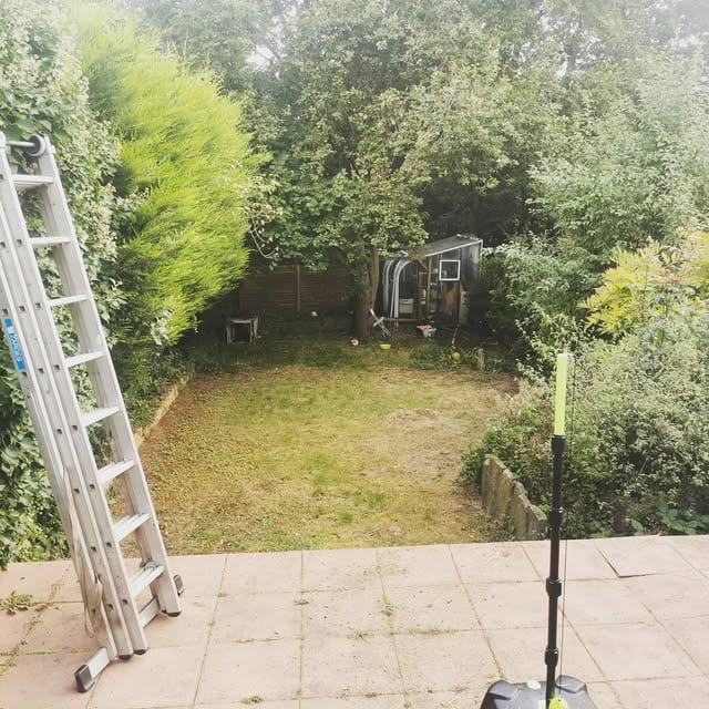 An overgrown garden being cleared, with a ladder against the hedge and a garden shed in the background