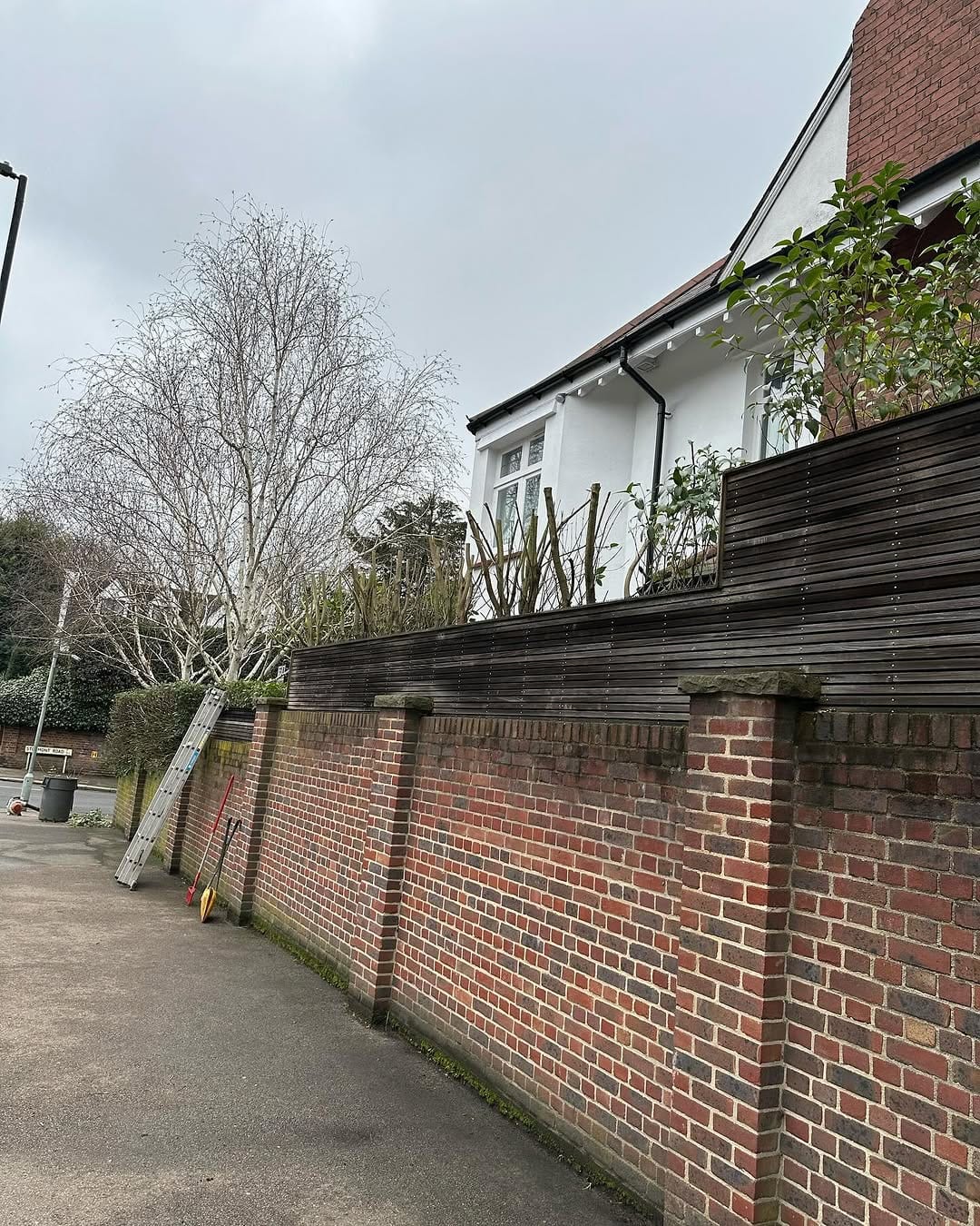 A tree and climbing plant growing over a moss-covered wooden fence, beside a red-brick chimney