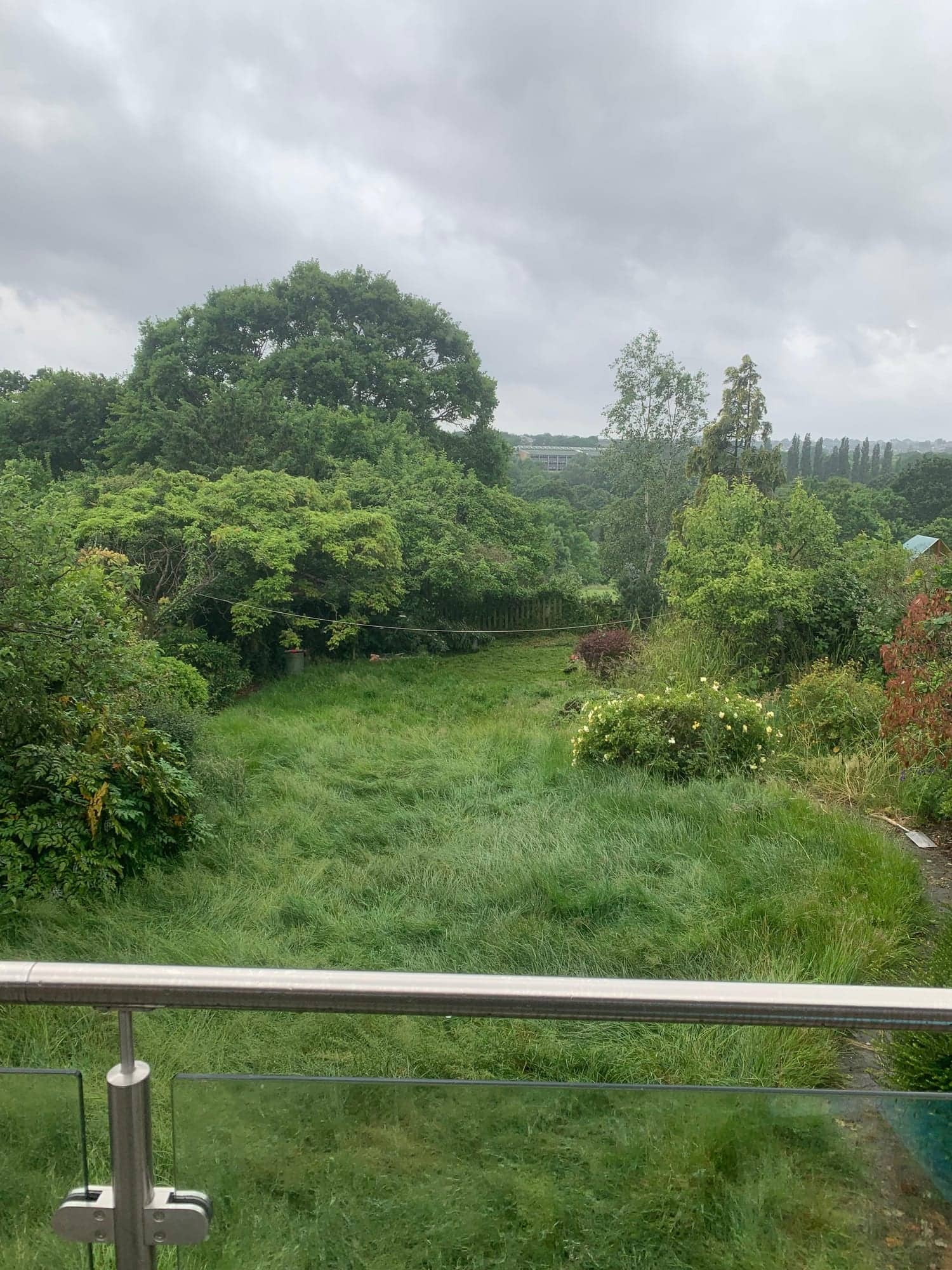 Overgrown, waist-high grass garden viewed from a balcony, before clearance