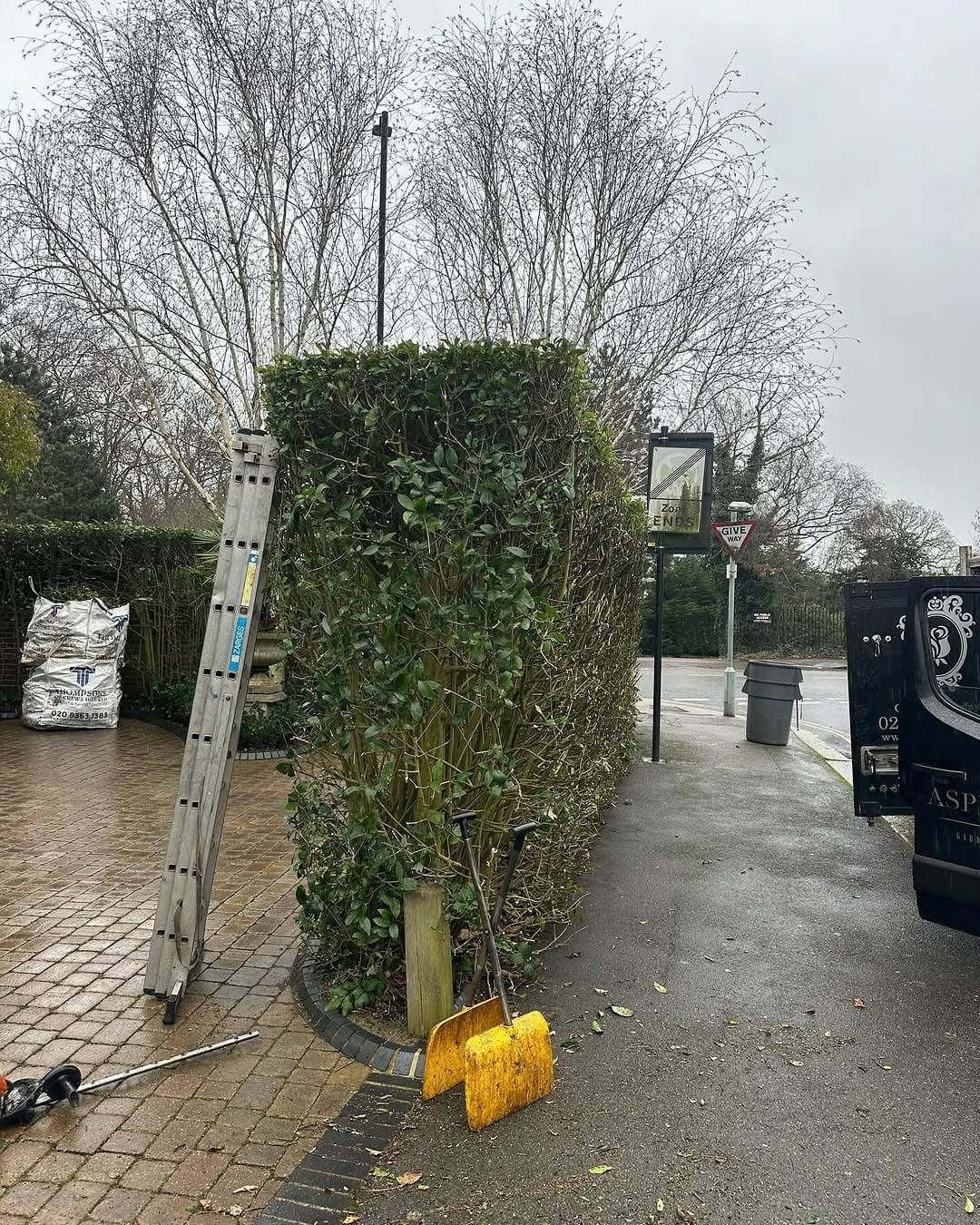 A neatly trimmed conical hedge with a ladder and tools, and the Aspen Rose van with its rose crest logo visible
