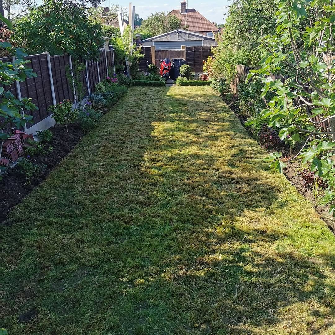 A long, narrow garden with hedge-lined borders and strips of freshly laid turf