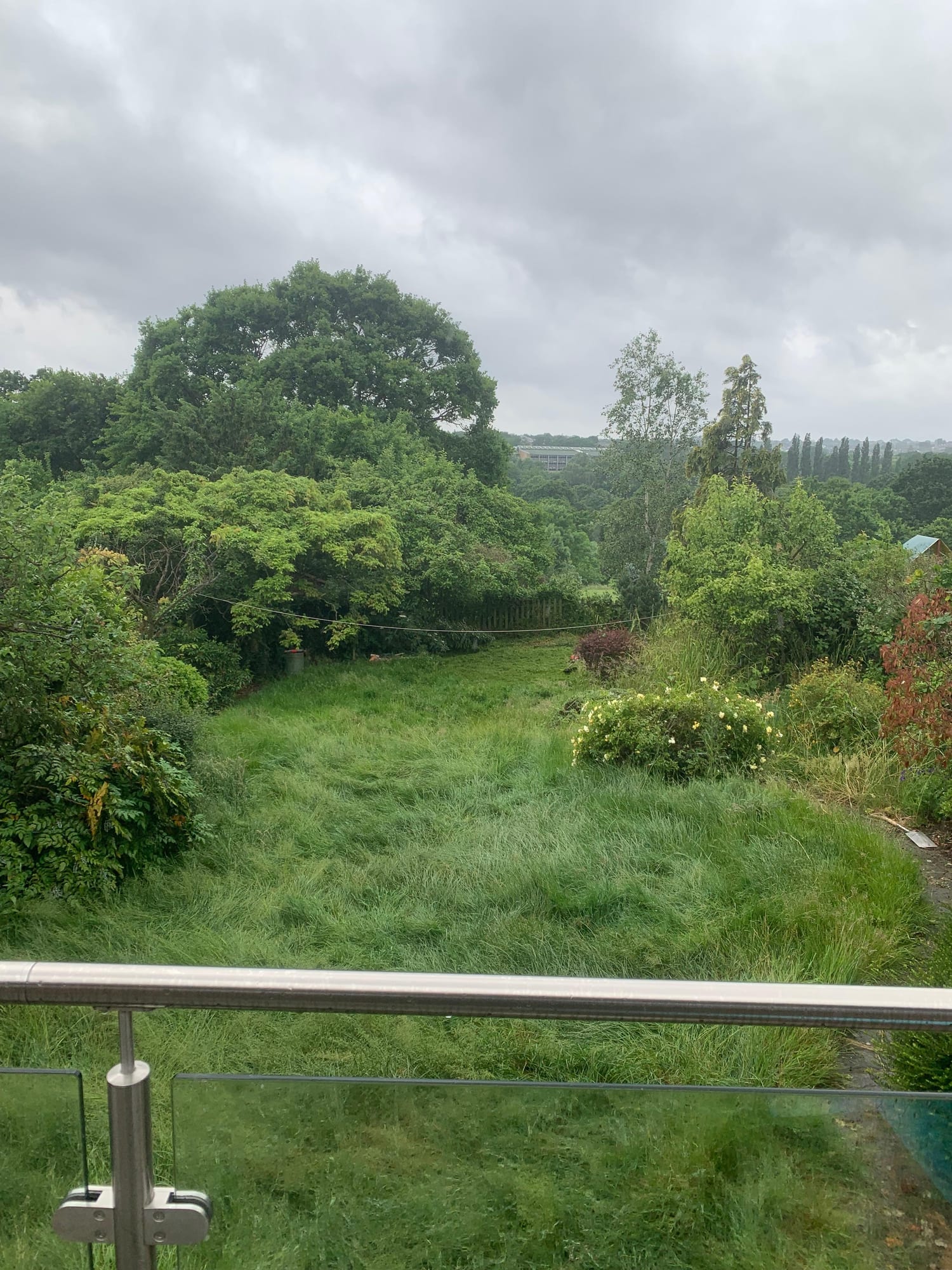 Overgrown, waist-high grass garden viewed from a balcony, before clearance