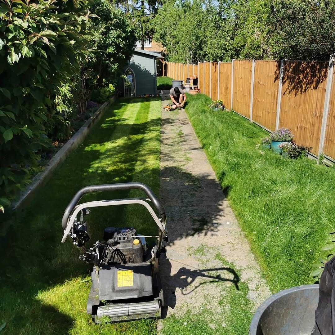 A gardener mowing a narrow side garden lawn with a push mower, a wheelbarrow alongside