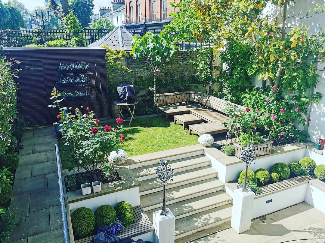 An elegant tiered London garden with stone steps, rose bushes, and clipped box balls